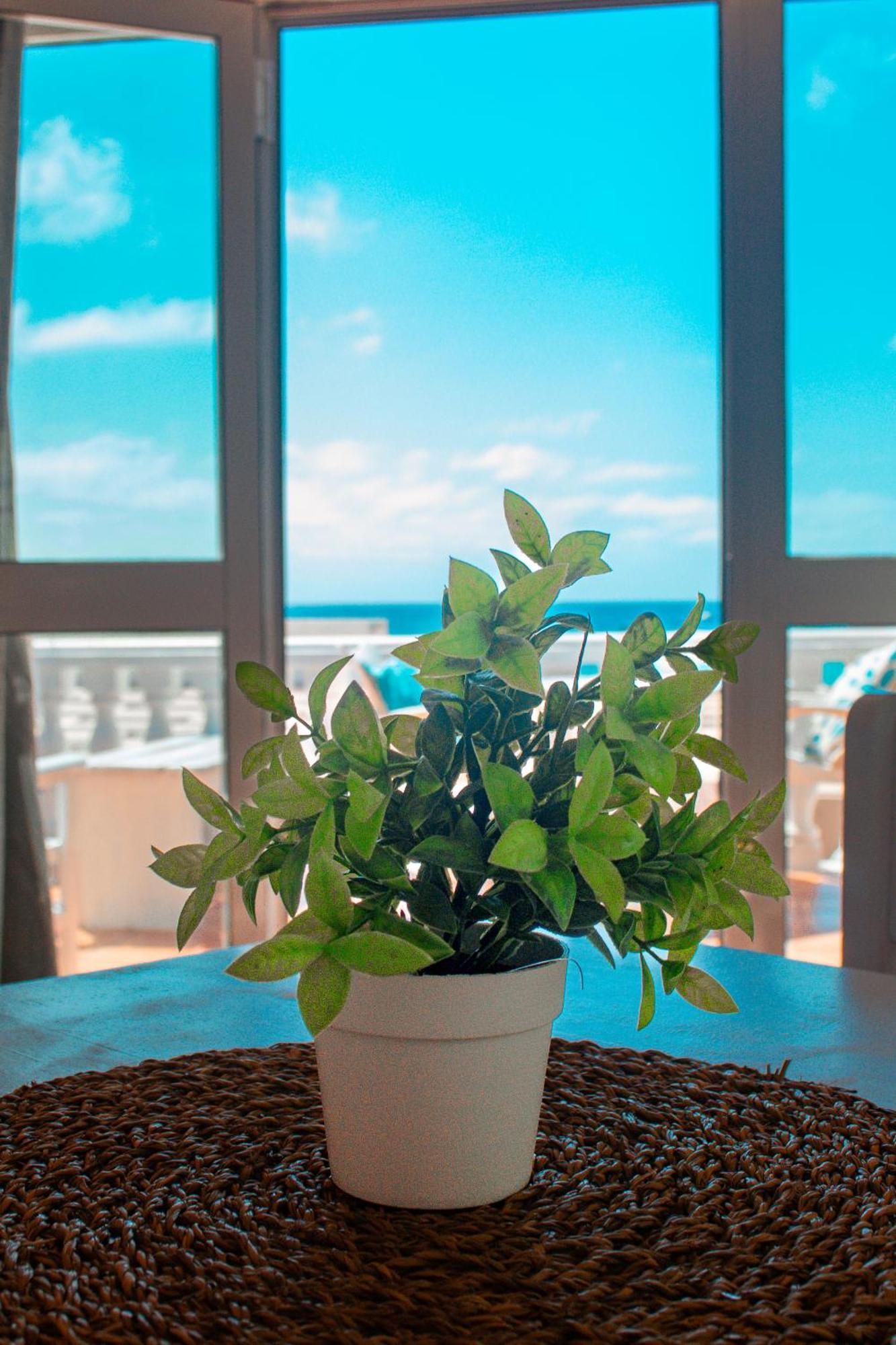 Vista Mar - Seafront Holiday Apartments Санта-Марія Екстер'єр фото
